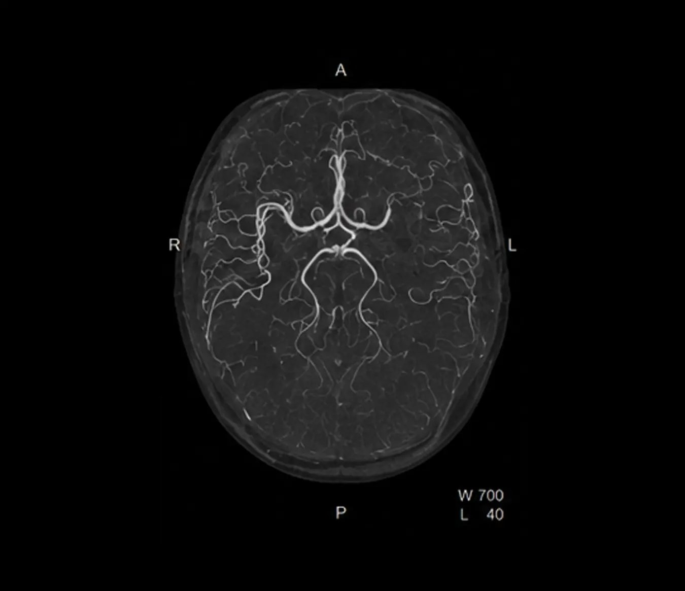 Deep clinical standard characterization