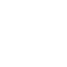 CSA-Star_badge_transparent-white