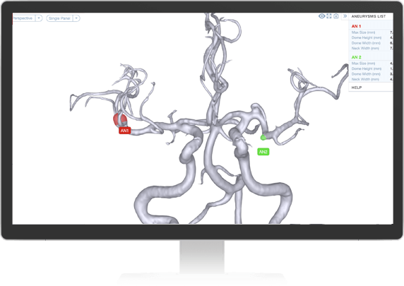 RAPID-Aneurysm-Desktop