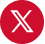 Twitter Social Icon