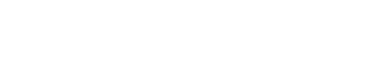 RapidAI logo